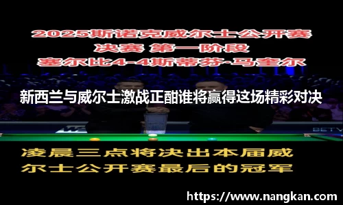 新西兰与威尔士激战正酣谁将赢得这场精彩对决