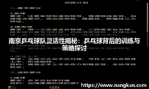 南京乒乓球队灵活性揭秘：乒乓球背后的训练与策略探讨
